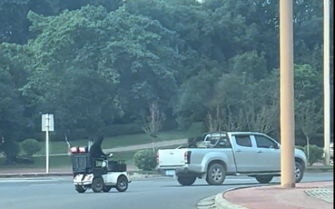 拉布拉多狗开车上路遭质疑 狗主人 “有争议我面对” 交警：不允许狗开车上路