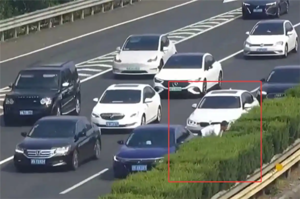 熊孩子发脾气扔出金项链 父母不顾一切在高速上停车寻找 