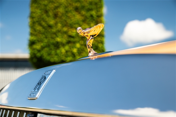 狗都有劳斯莱斯了！一客户为爱犬定制特别版闪灵：真开眼