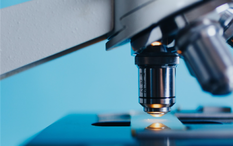 刚柔并济！新型人造肌肉可举起4000倍自重物体