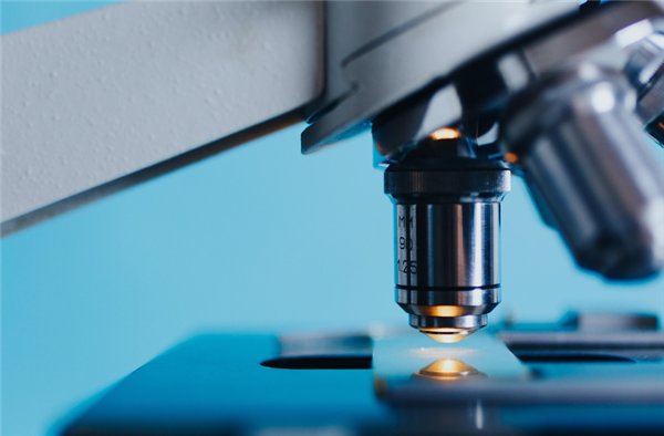 刚柔并济！新型人造肌肉可举起4000倍自重物体