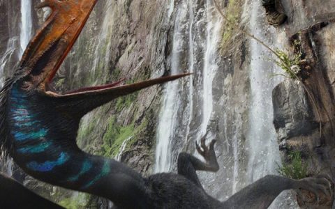 2025年最叫座引进片 电影《侏罗纪世界：重生》今天网播上线