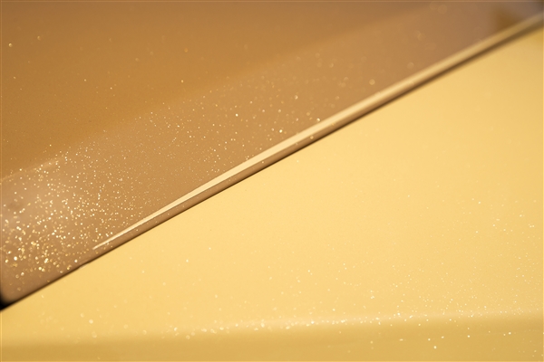 狗都有劳斯莱斯了！一客户为爱犬定制特别版闪灵：真开眼