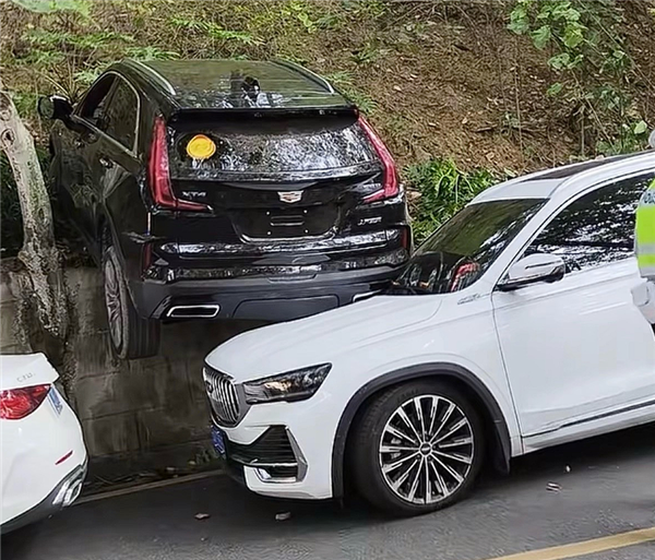 女子油门当刹车猛踩 没上牌的凯迪拉克XT4骑到星越L头上