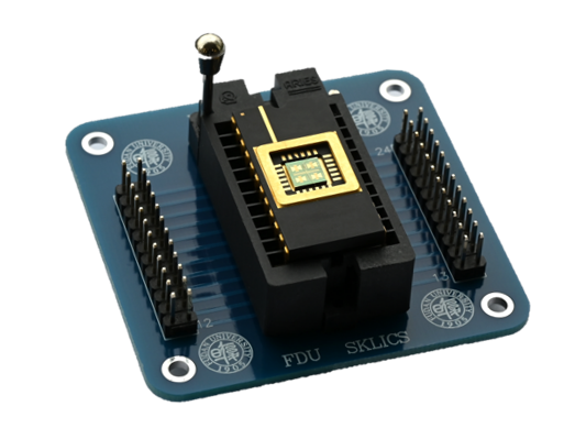 全球首颗！复旦团队成功研发二维-硅基混合架构闪存芯片