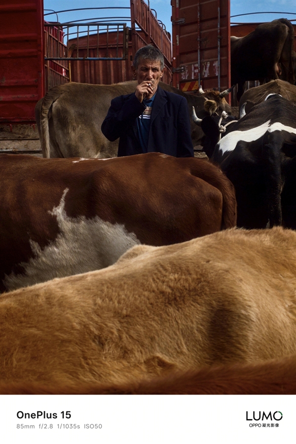 一加哈苏合作结束：一加15首次搭载OPPO LUMO凝光影像