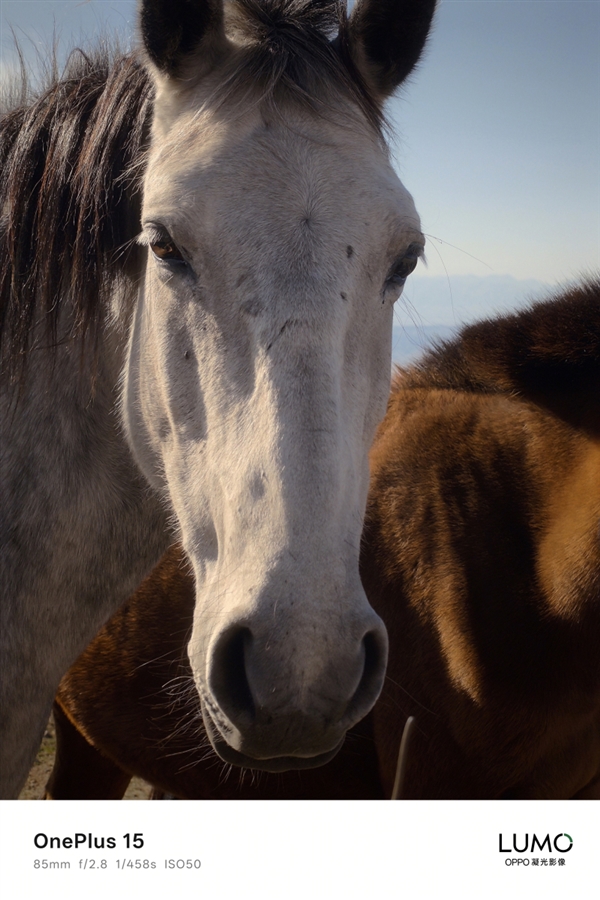 一加哈苏合作结束：一加15首次搭载OPPO LUMO凝光影像