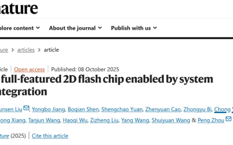 全球首颗！复旦团队成功研发二维-硅基混合架构闪存芯片