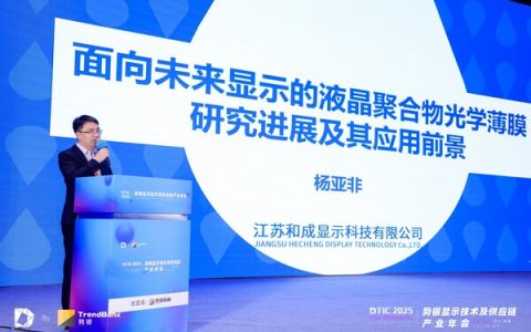 和成显示产品研发中心总监杨亚非发表演讲