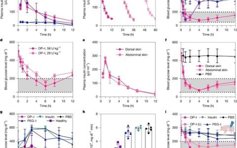 糖尿病告别打针 浙大团队实现无创透皮给药