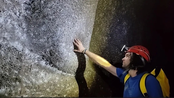 掉San预警！科学家发现巨型蜘蛛巢穴：黑暗中蛛网延绵106平