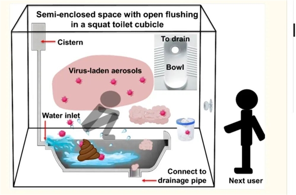 外出上厕所 你会选择坐便还是蹲便