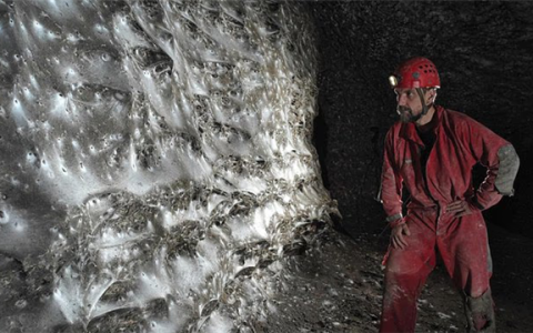 掉San预警！科学家发现巨型蜘蛛巢穴：黑暗中蛛网延绵106平