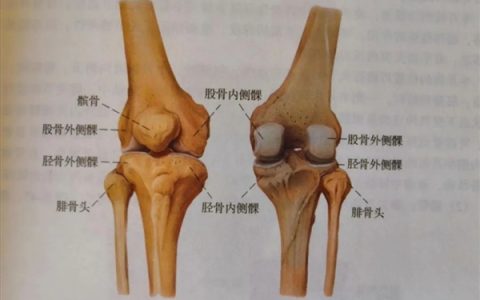 走路时膝盖突然“软”一下 别以为是累了 或许是这些疾病的信号