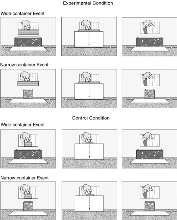 为什么“冷不丁梆梆就能两拳”
