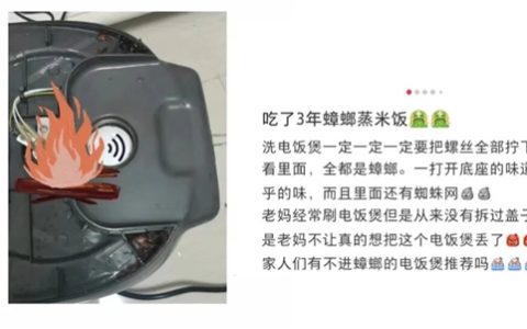电饭煲这4个地方不洗 当心吃“蟑螂蒸饭”！