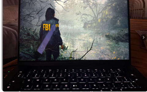 苹果M4 Max MacBook Pro非原生运行《心灵杀手2》：平均帧率80FPS！