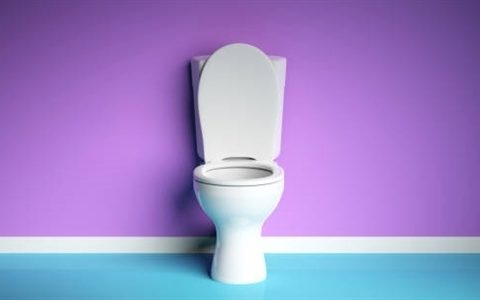 外出上厕所 你会选择坐便还是蹲便