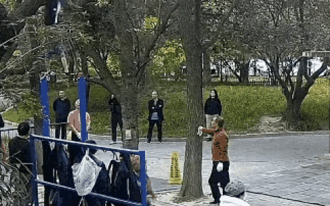 量力而为！六旬老人公园里连做14个单杠大回环心梗离世