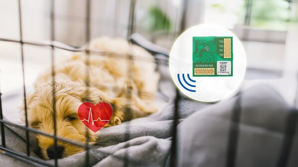 面向宠物医院的生命体征监测概念方案