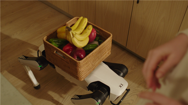 全球首款家庭智能体机器人！越疆Rover X1发布：7499元 支持安防、情感陪伴