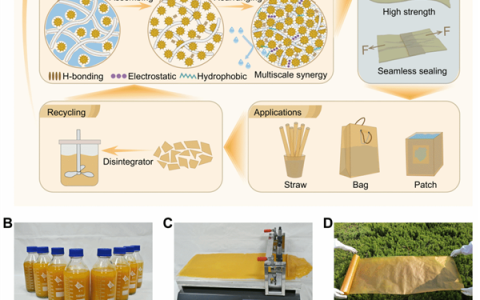 武大新突破 三种天然物质造出“可降解塑料”：防水又强韧