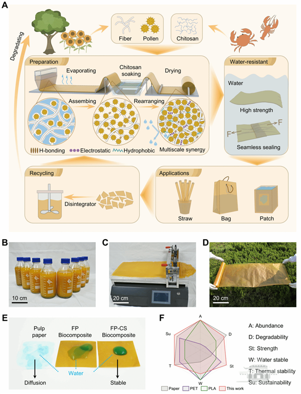 武大新突破 三种天然物质造出“可降解塑料”：防水又强韧