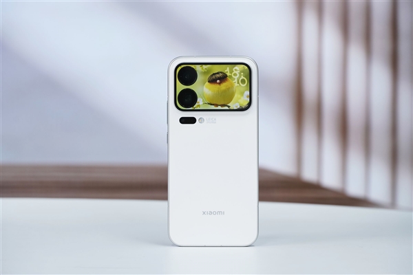 小米卢伟冰：越来越多的Pro Max来了！