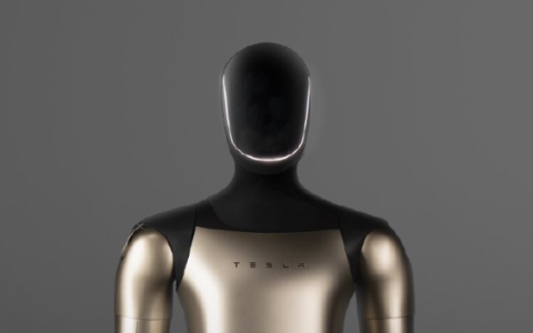 马斯克：数字“永生”有望20年内实现 人类意识上传至机器人