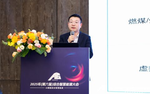 "AIVP协鑫虚拟电厂" "协鑫广场智慧能源"成功入选《能源转型中国故事》