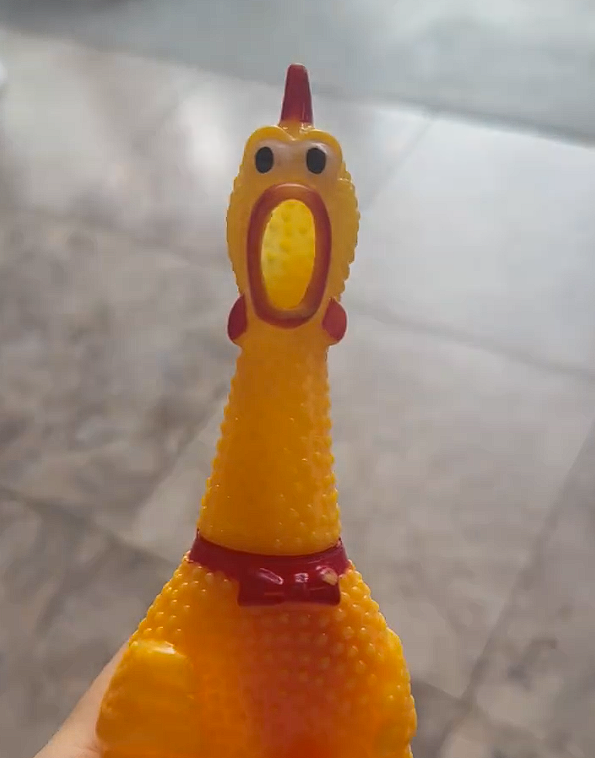 泰国一男子每天狂按尖叫鸡 女邻居被吵整整十年