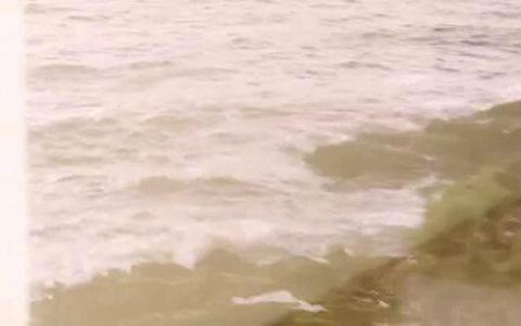 Begg x Co 天猫官方旗舰店正式启幕