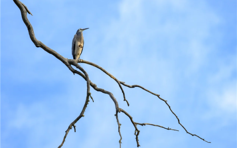 26.5微克/立方米！北京PM2.5平均浓度达到历史同期最优