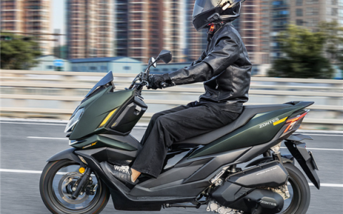 11800元 升仕150X龙骨踏板摩托掀桌 网友：炸了都夸它响