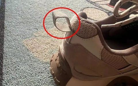 澳洲女子户外寻宝偶遇剧毒蛇 人很淡定蛇却慌了