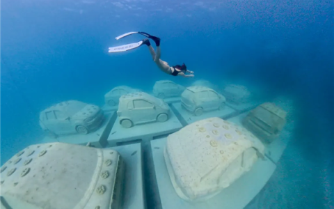 迈阿密将22辆“汽车”推入海底 给珊瑚当家