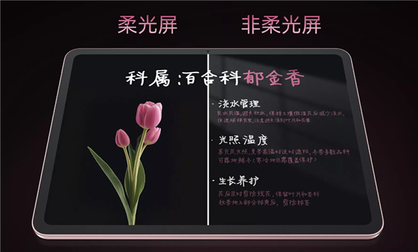国补价1709.1元起！OPPO Pad Air5首销：支持插SIM卡