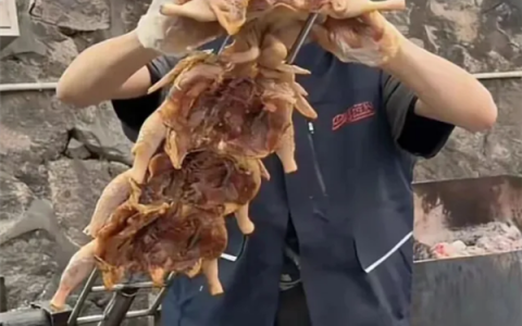 16岁“烤鸡少年”被传喜提迈巴赫 本人回应