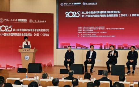 《中国城市国际网络形象指数报告（2025）》发布会专家发言