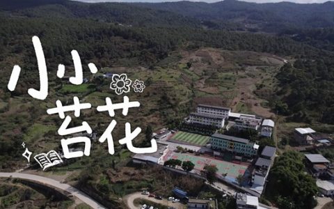 敷尔佳推出首支公益短片《小小苔花》：赴华坪县捐书助梦启航