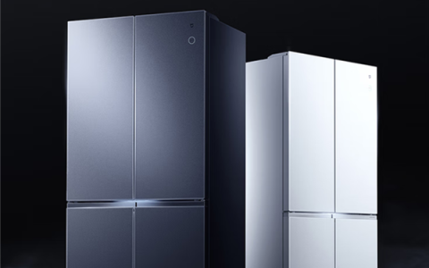 小米发布米家冰箱Pro微冰鲜十字560L：鲜肉零下不冻结 保鲜10天