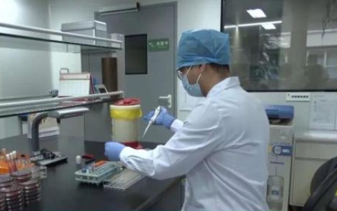 男子养五步蛇当宠物 手动喂食被咬致截肢