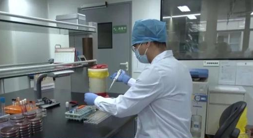 男子养五步蛇当宠物 手动喂食被咬致截肢