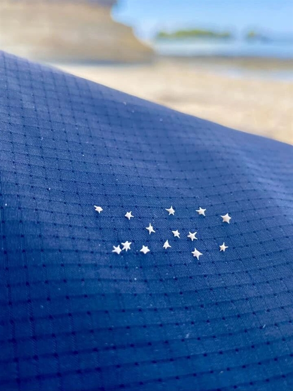 冲绳海滩上成千上万的小“星星” 是生物5亿年堆积起来的