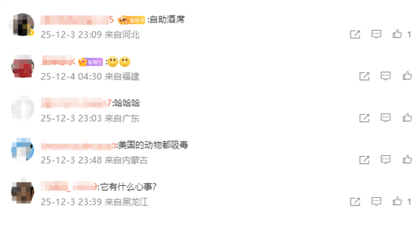 美国一浣熊大闹酒铺 偷喝烈酒后醉倒厕所 超萌姿态逗笑网友