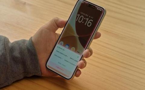 尾号7777777座机号起拍价45万：月租费25元 只限本地过户