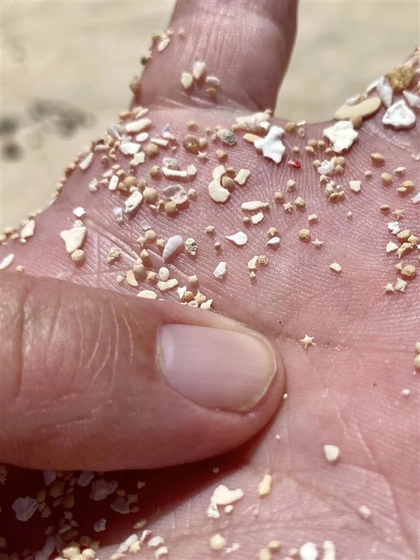 冲绳海滩上成千上万的小“星星” 是生物5亿年堆积起来的