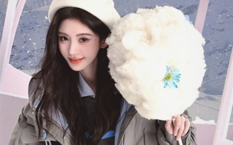 “鞠婧祎收入”热搜 十年收入税前1.39亿人民币