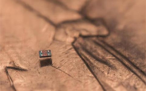 全球最小全自主可编程机器人诞生：接近细菌尺度 成本仅1美分