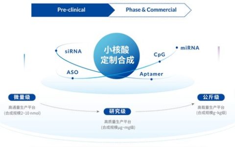 擎科生物小核酸定制合成